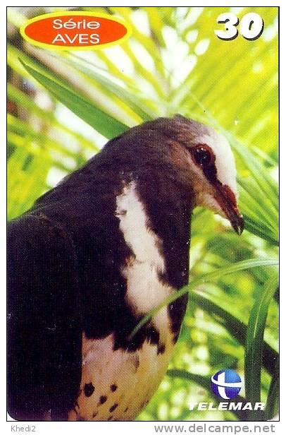 Télécarte Brésil - ANIMAL - Oiseau PIGEON COLOMBE - Brazil Brasil DOVE BIRD Phonecard - TAUBE Vogel TK / TELEMAR - 63 - Brésil