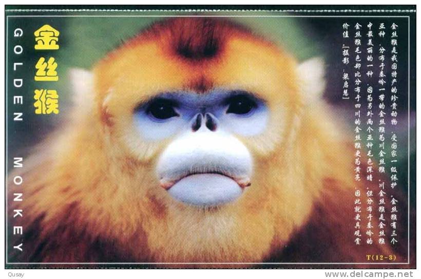 Endangered Specie Rare Animal Monkey ,   Prepaid Card   , Postal Stationery - Singes
