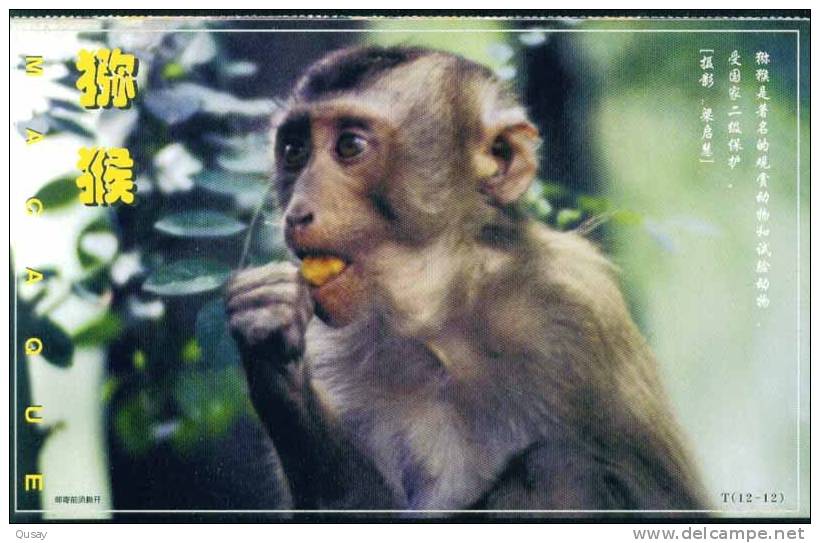 Endangered Specie Rare Animal Monkey  ,   Prepaid Card   , Postal Stationery - Apen
