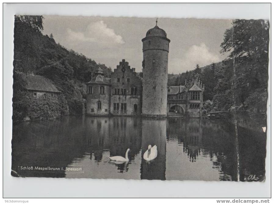 Schloss Mespelbrunn I. Spessart - Aschaffenburg