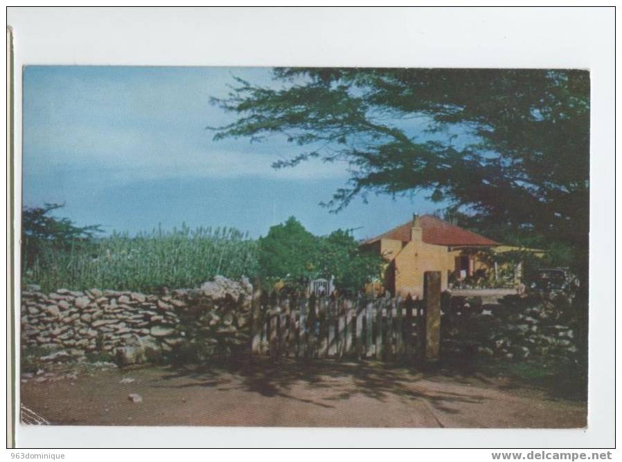 Aruba - Typical Aruban Cunucu (countr) House With Stone Fence - Used 1957 - Andere & Zonder Classificatie