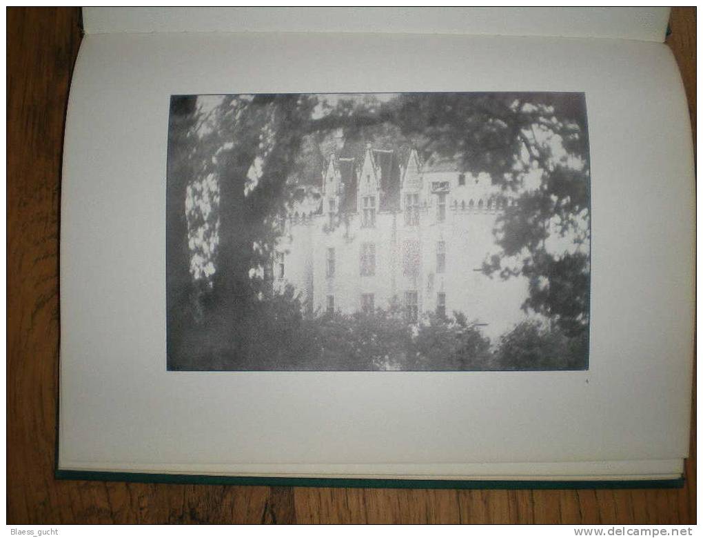 LES CHATEAUX REVENT  DIDIER ROY - TRES RARE EXEMPLAIRE - PHOTOGRAPHIES D´ART - LOT CALVADOS CORREZE LOT BELGIQUE - Photographs