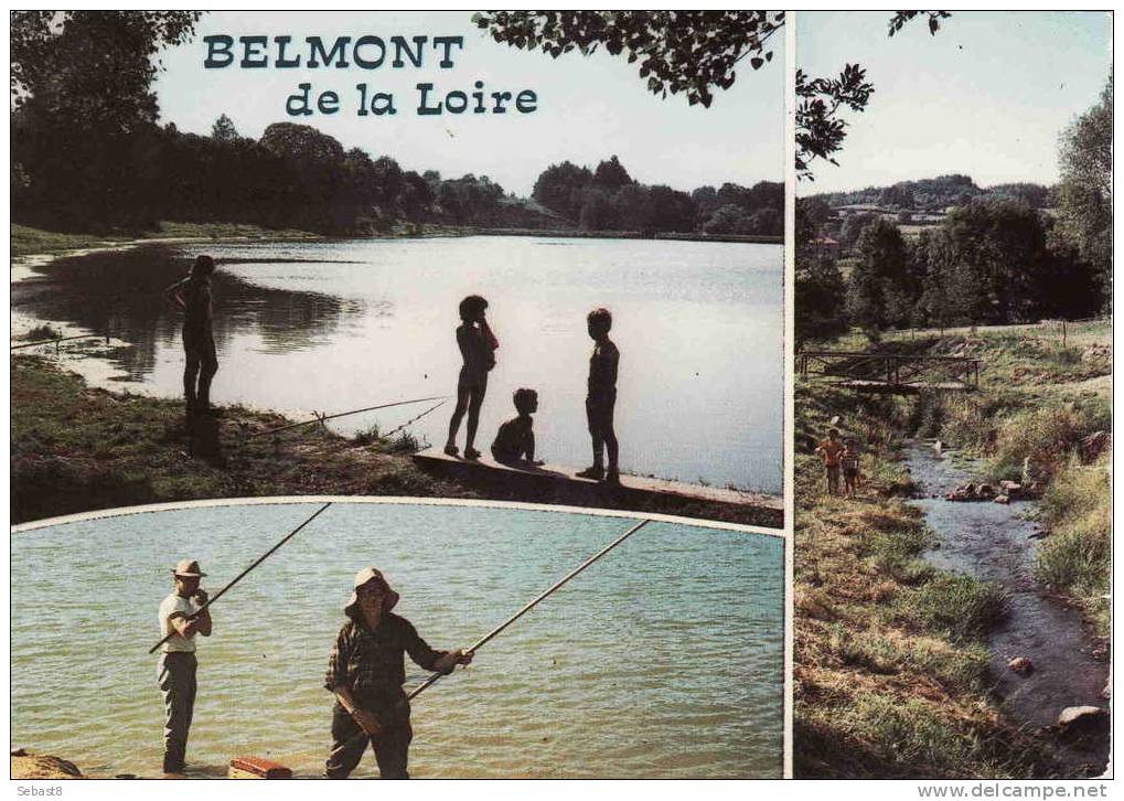 BELMONT DE LA LOIRE - Belmont De La Loire