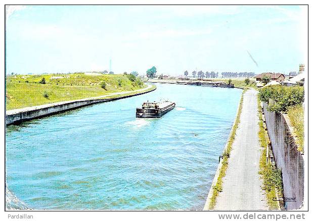 59.  ARLEUX.  CANAL DE LA SENSEE.  PENICHE. - Arleux