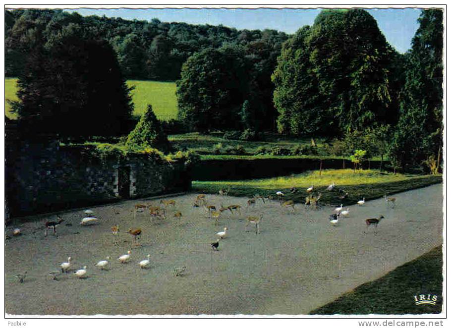 Carte Postale 76. Clères  Le Zoo Groupe D'Antilopes Et De Palmipèdes Dans Le Parc Trés Beau Plan - Clères