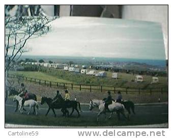 SCOTLAND MAIDENS  CARAVAN SITE RULOTT E CAVALLI N1965 BT21479 - Ayrshire