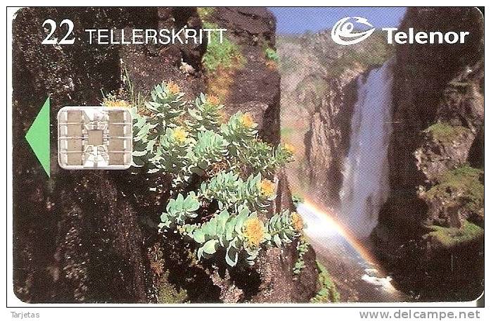 TARJETA DE NORUEGA DE UNA CASCADA (CATARATA-WATERFALL-FALL-CASCADE) - Paisajes