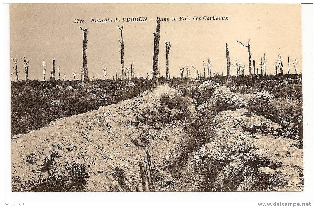 BATAILLE DE VERDUN   -   ** DANS LE BOIS DES CORBEAUX **    -   Editeur  LA PENSEE   N° 3723 - Verdun