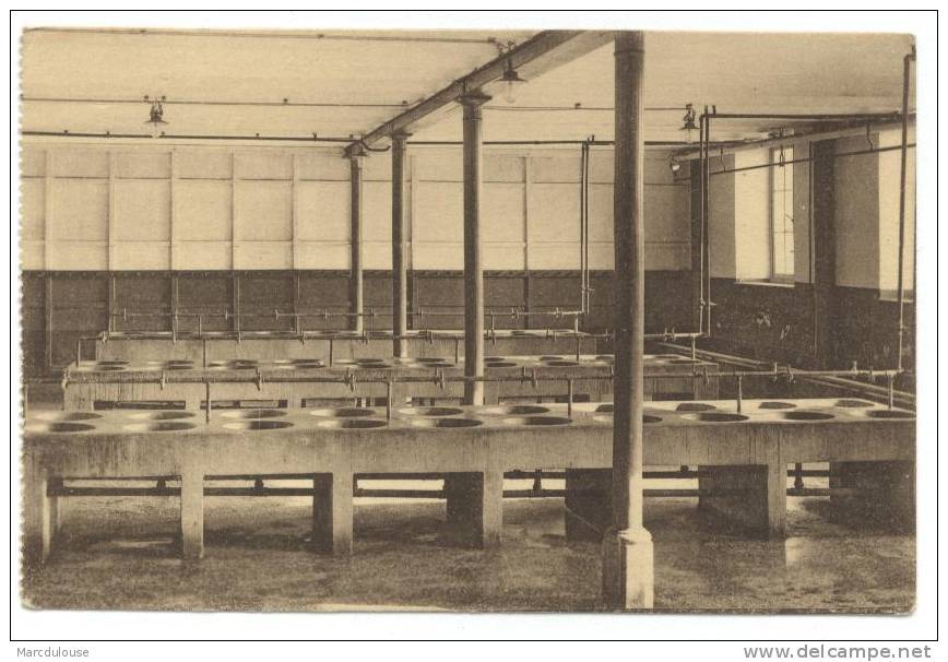 Sint-Truiden. Saint-Trond. Legerpupillen Scholen. Saffraenberg. Waszaal. Ecoles Des Pupilles. Lavoir. - Sint-Truiden