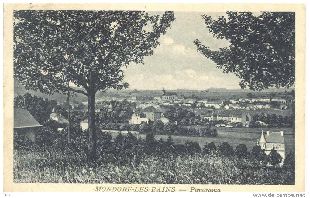 CpF0967 - MONDORF Les BAINS - Panorama - (Luxembourg) - Remich