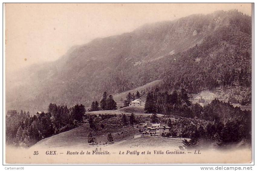 01 - Gex - Route De La Faucille - Le Pailly Et La Villa Gentiane - Gex