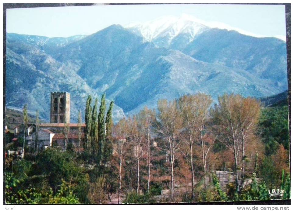 CP De SAINT-MICHEL DE CUXA " Et Le Massif Du Canigou " . - Prades