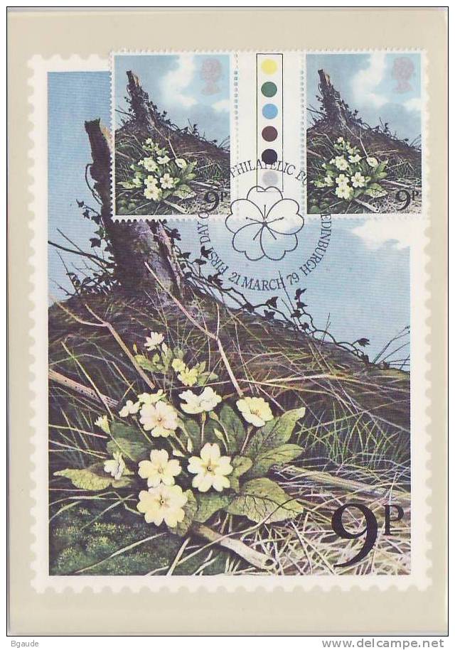 GRANDE BRETAGNE  CARTE MAXIMUM NUM.YVERT  884 FLEURS SAUVAGES - PHQ Cards