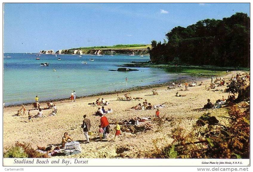 Angleterre - Studland Beach And Bay, Dorset - Other & Unclassified