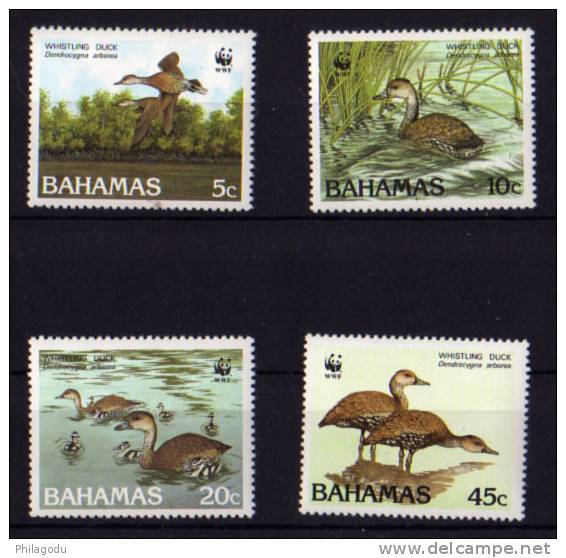 Bahamas 1988,  Canard Siffleur, Yv.659/662 Neuf Sans Charnière ++  Postfrich ++ Mint N.H - Canards