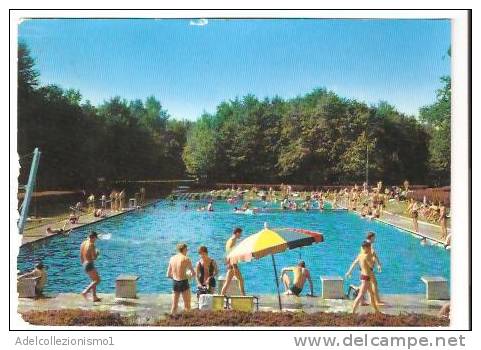 21770)cartolina Illustratoria  Monza - Piscina Al Parco - Monza