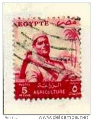 PIA - EGITTO - 1954-55 : Repubblica Egiziana - Feilah - (Yv 368) - Usati