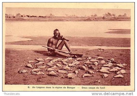 TCHAD  AU LOGONE DANS LA REGION DE BONGOR DEUX COUPS DE FUSIL - Tchad