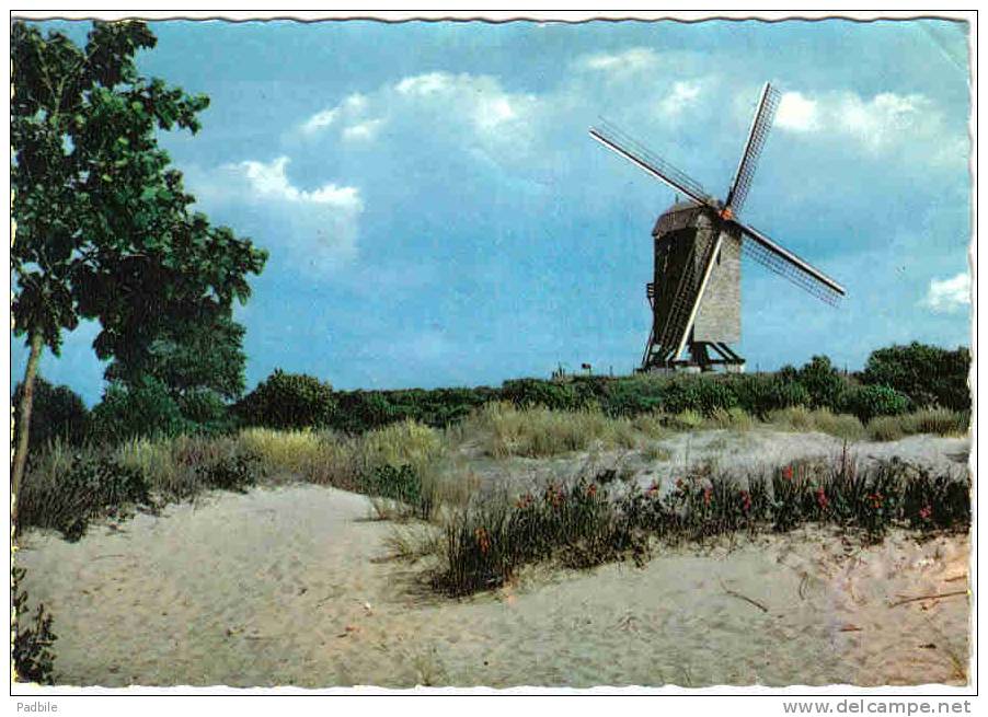 Carte Postale Belgique  Koksijde Coxyde   Le Vieux Moulin  Trés Beau Plan - Koksijde