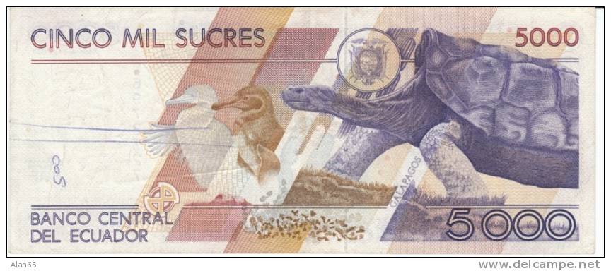 5000 Sucres Ecuador 1987 Currency Banknote, Krause #126 - Ecuador