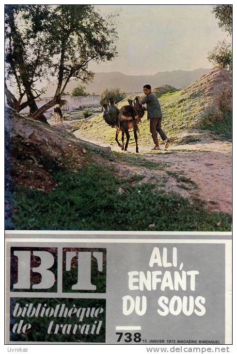 BT N°738 (1972) : Ali, Enfant Du Sous. Maroc, Atlas, Berbère, Oued. Bibliothèque De Travail. Freinet. - 6-12 Jahre