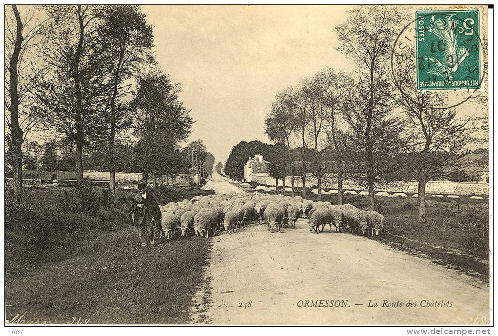 ORMESSON - La Route Des Chatelets - Berger Et Son Troupeau - Voy. 1907, Parfait état - Ormesson Sur Marne