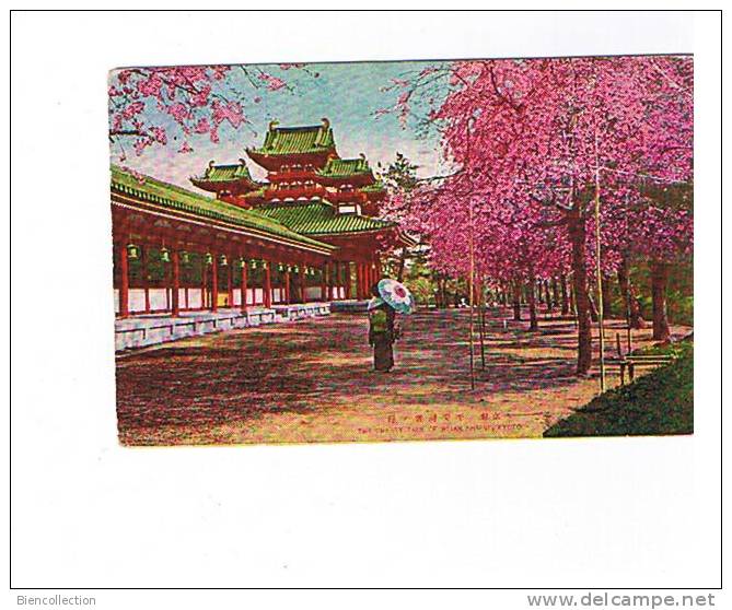 Japon.The Cherry Tree Of Heian Shrine.Kyoto - Kyoto