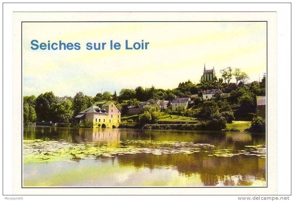 CPM De Seiches Sur Le Loir   Bords Du Loir à Matheflon - Seiches Sur Le Loir