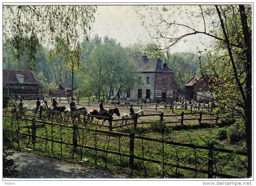 Carte Postale 59.  Villeneuve D'Ascq  Le Poney Club Trés  Beau Plan - Villeneuve D'Ascq