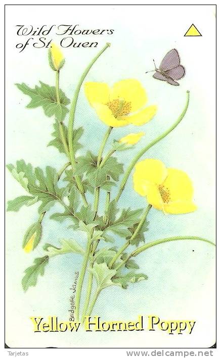 JER-129 TARJETA DE JERSEY DE  YELLOW HORNED POPPY (40JERB) FLORES-FLOWER - [ 7] Jersey Und Guernsey