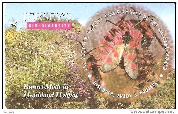 JER-174 TARJETA DE JERSEY BURNET MOTH   (57JERD)   INSECTO - [ 7] Jersey Und Guernsey