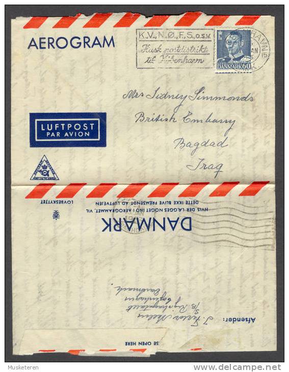 Denmark Aerogram Luftpost Par Avion King Frederik IX 1955 To British Embassy Arrival Cancel Bagdad Iraq - Briefe U. Dokumente