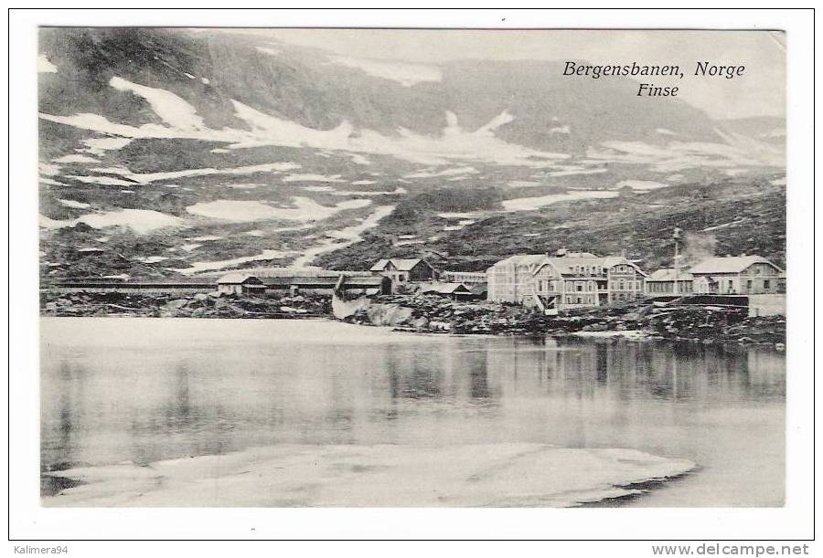 NORVÈGE  ( NORGE ) /  BERGEN  /  BERGENSBANEN  /  FINSE  /  Eneret  :   G.H.   N° 825 - Norvège