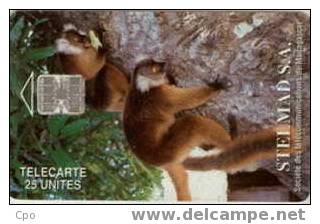 # MADAGASCAR 2 Two Lemurs 25 Sc7  -lemurien,animal- Tres Bon Etat - Madagaskar