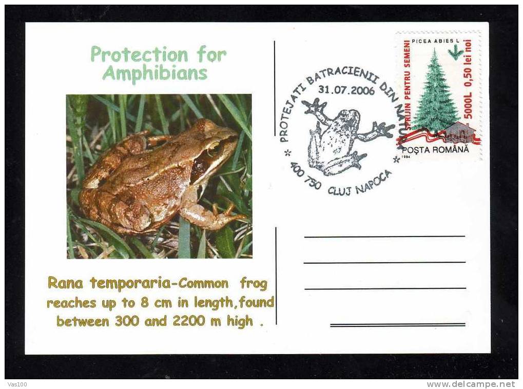 PROTECTION FOR AMPHIBIANS RANA TEMPORARIA- Turtles,nice,POSTCARD 2006. - Tortugas