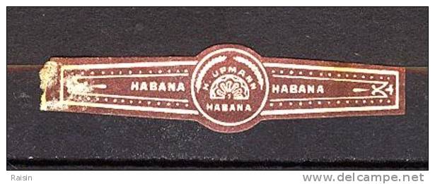 H. UPMANN Habana  Bague De Cigare  TBE - Bagues De Cigares