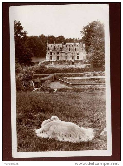 Parc Zoologique De Clères Nandou Couvant édit.du Parc Glacée Belle Carte - Clères