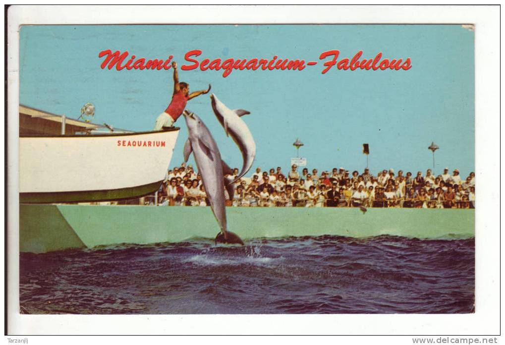 CPSM De Miami (Etats Unis FL): Miami Seaquarium-Fabulous. Showtime (dauphin) - Miami