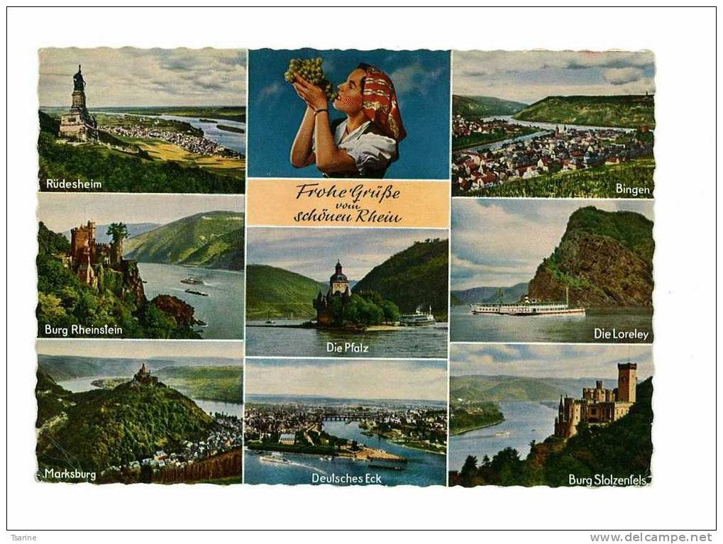 Allemagne - Lot De 3 Cartes Multi-vues De L'allemagne Et Du Rhein ( Rhin) - Collections & Lots