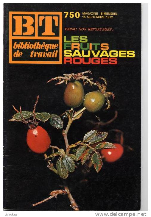 BT N°750 (1972) : Les Fruits Sauvages Rouges. Bibliothèque De Travail. Freinet. - 6-12 Years Old