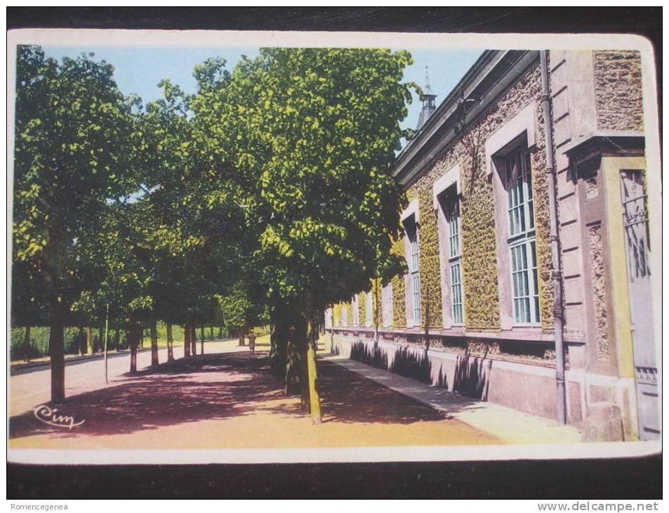 ESSONNES - L´Ecole Des Filles - Non Voyagée - Bords Arrondis - Essonnes