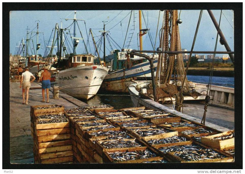 92-PORTO GARIBALDI-LIDO DEGLI ESTENSI(RAVENNA)-IL PORTO-FG - Ravenna