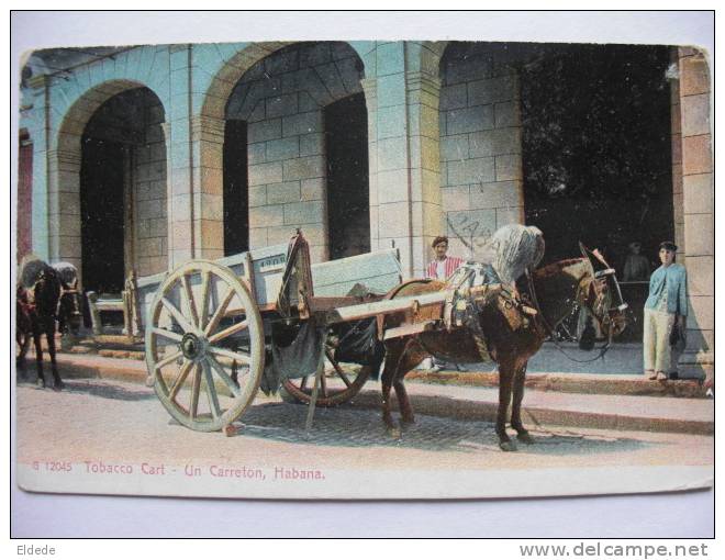 Attelage Ane Mulet Transport De Tabac Tobacco Havana La Havane Un Carreton - Cuba