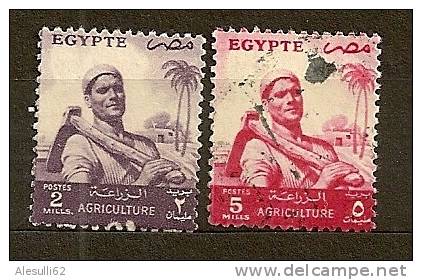 EGITTO Egypte - 1954/55-    N. 366-368/us Lot Lotto - Oblitérés