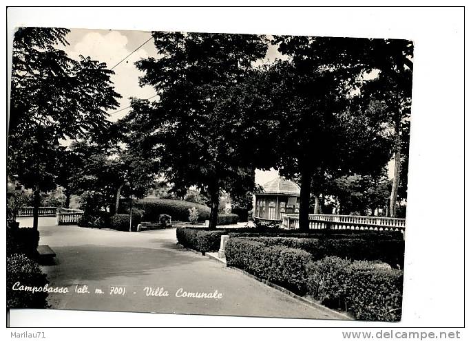 MOLISE CAMPOBASSO VILLA COMUNALE FG VIAGGIATA 1962 - Campobasso