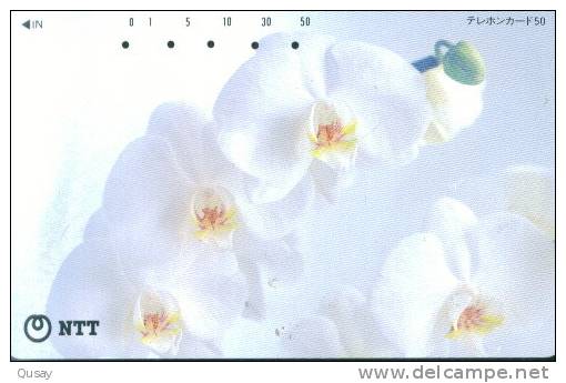 Orchid Flower  , Used Japan Tumura Phonecard - Flowers