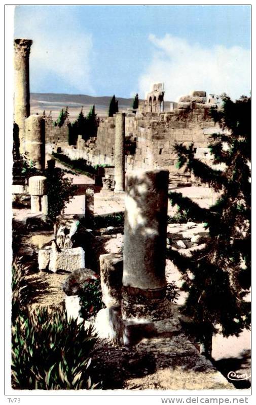 CpF1000 - ATEBESSA - Ruines De La Basilique Romaine - (Algérie) - Tébessa