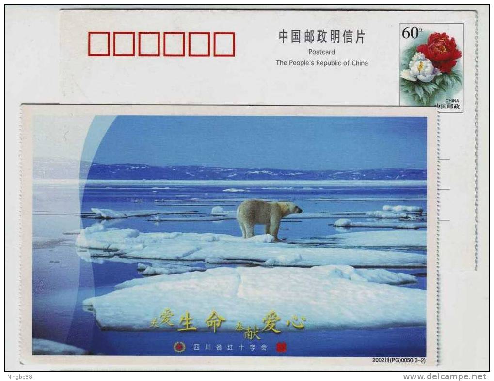 Polar Bear,CN02 Sichuan Red Cross Society Bone Marrow Bank Loving Heart Donation Charity Advert Pre-stamped Card - Ours