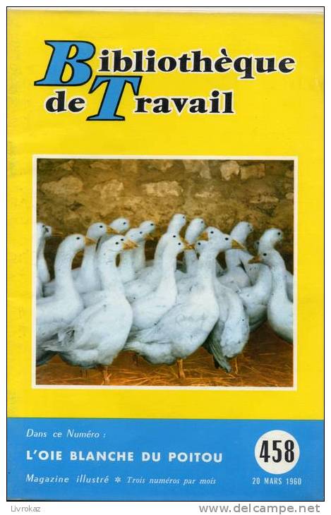 BT N°458 (1960) : L'oie Blanche Du Poitou. Gençay, Vienne. Bibliothèque De Travail. Freinet. - 6-12 Jahre