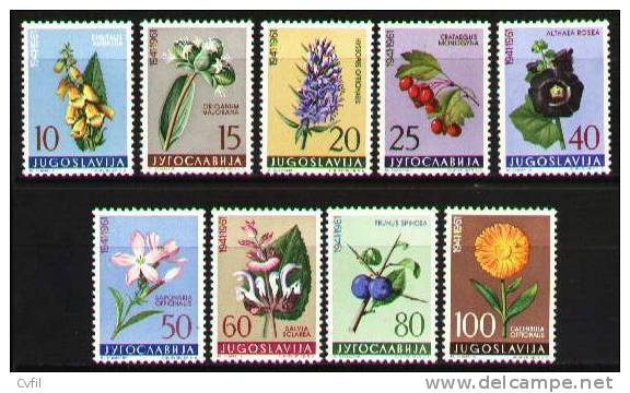 YUGOSLAVIA  1961 - FLOWERS And FRUITS (9) - Neufs